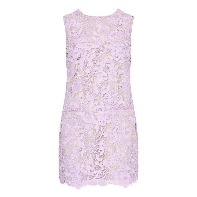 3D Garden Lace Sleeveless Mini Dress image number null