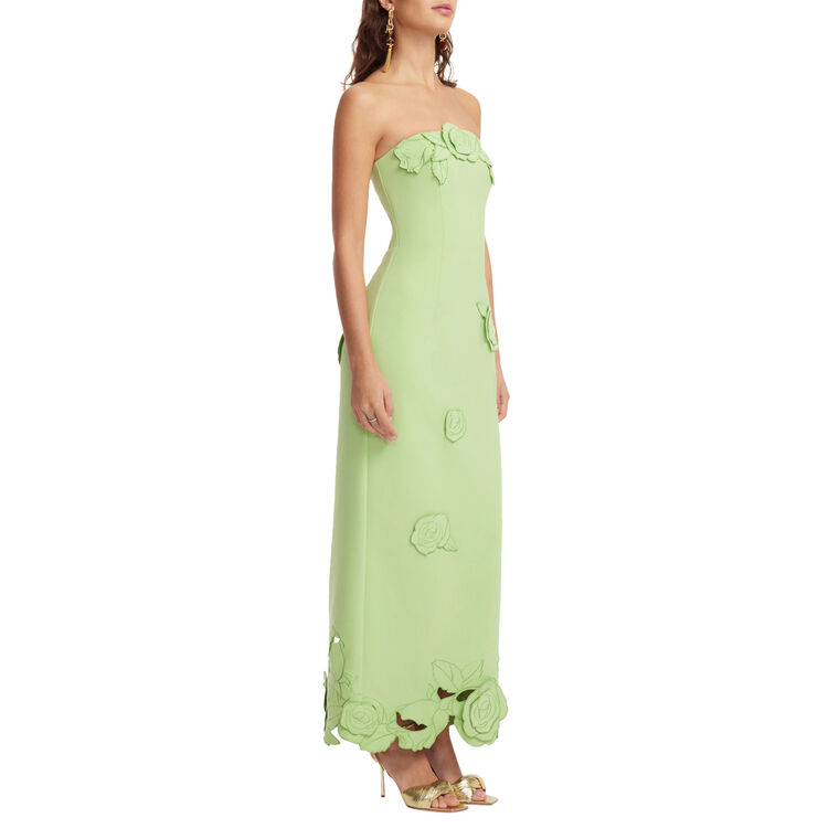 Rayna Applique Strapless Bustier Maxi Dress image number null