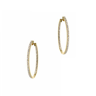 Muse Oval Hoop Earrings