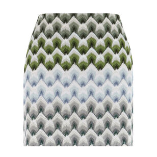 Mini Skirt