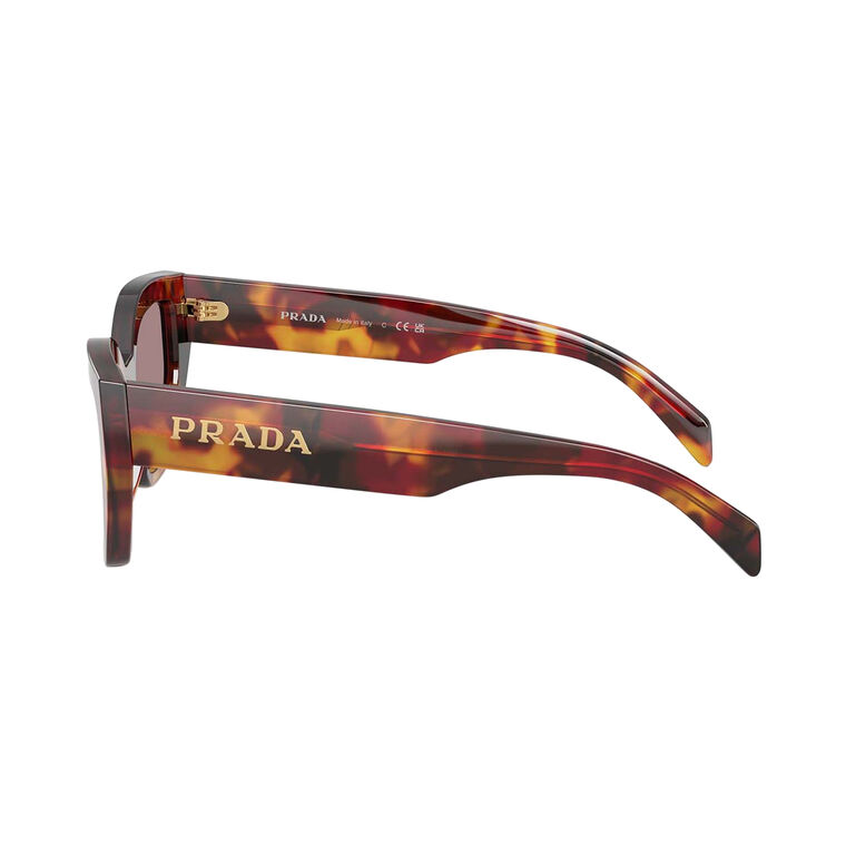 Cat-Eye Acetate Sunglasses image number null