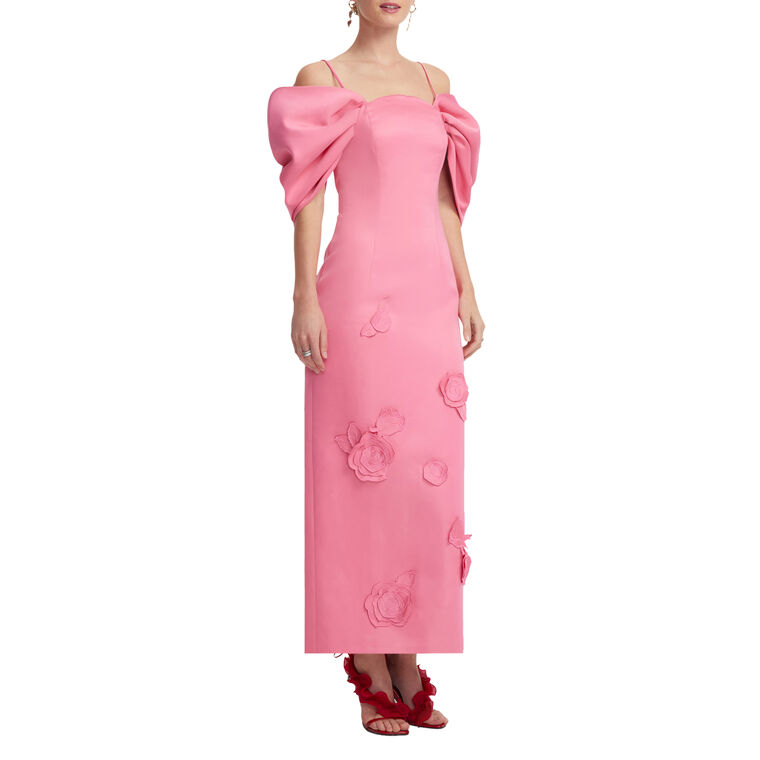 Arabella Applique Maxi Dress image number null