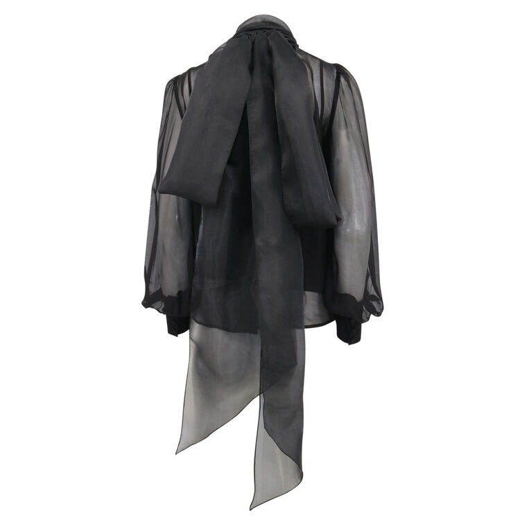 Agna Silk Organza Blouse image number null