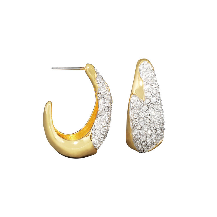 Solanales Crystal Hoop Earrings image number null