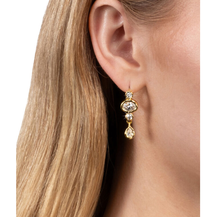 Asterales Leverback Earrings image number null