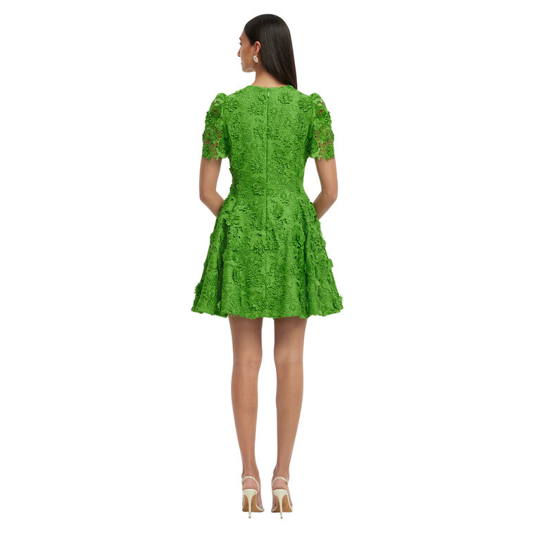 Elyse Lace Short Sleeve Mini Dress image number null