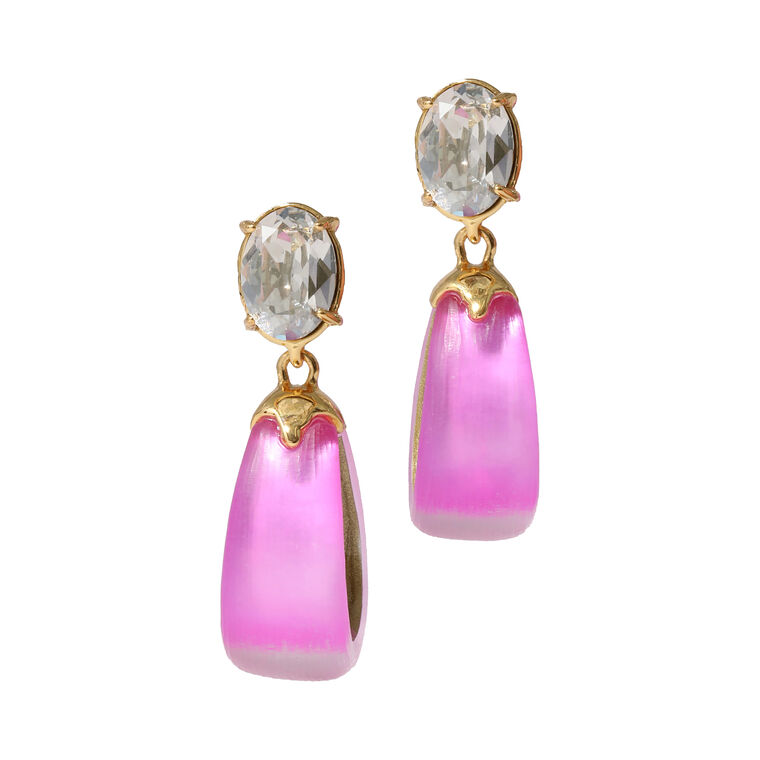 Bonbon Crystal Lucite Teardrop Earrings image number null