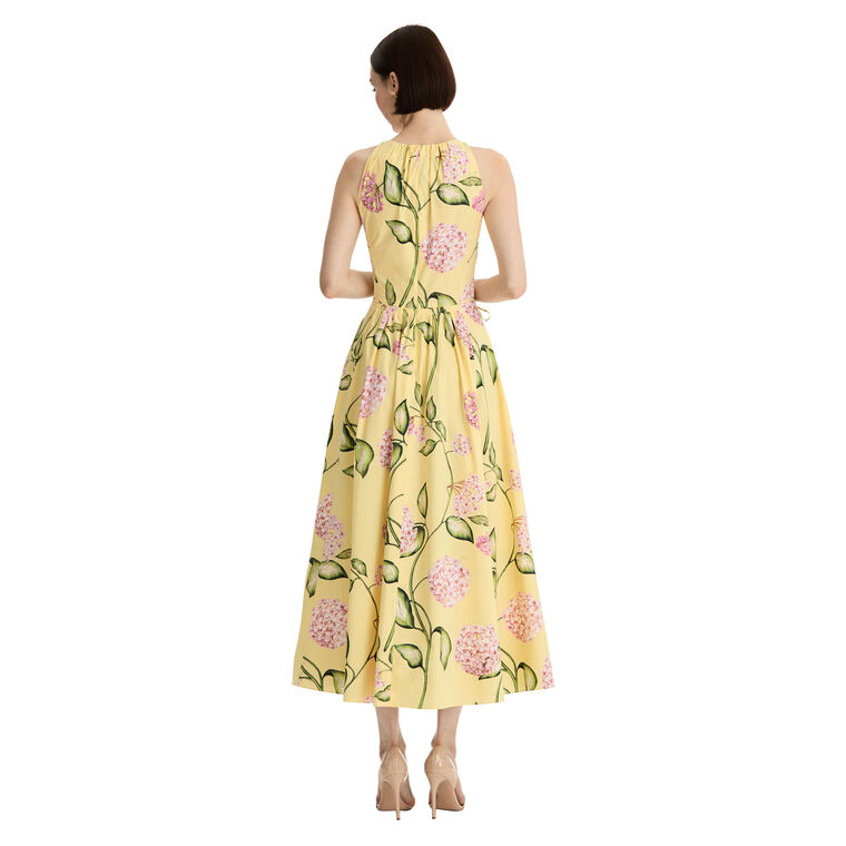 Porcelain Flower Cotton Poplin Pleated Dress image number null