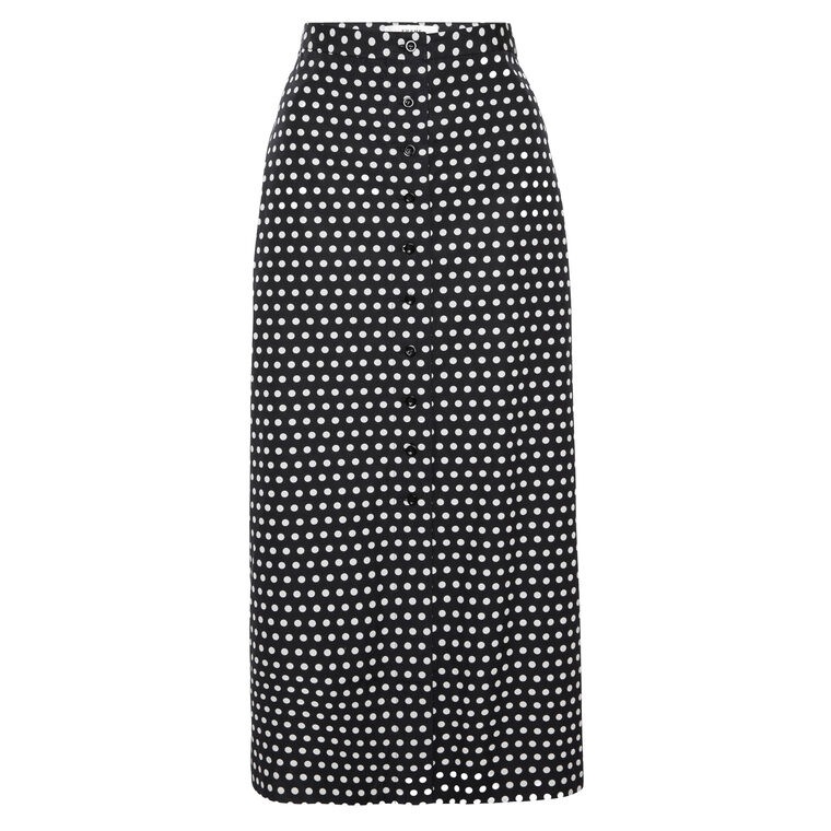 The Polka Dot Skirt image number null