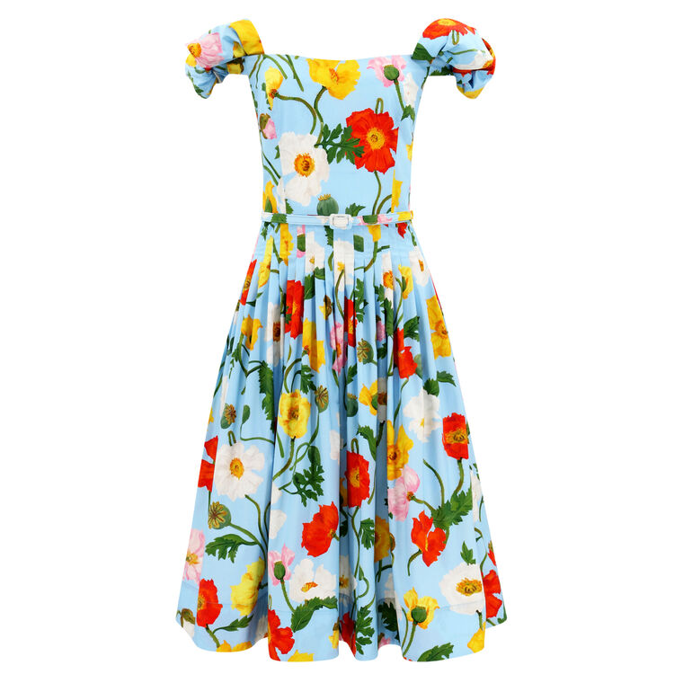 Poppy Print Belted Off the Shoulder Bow Detail Dress image number null