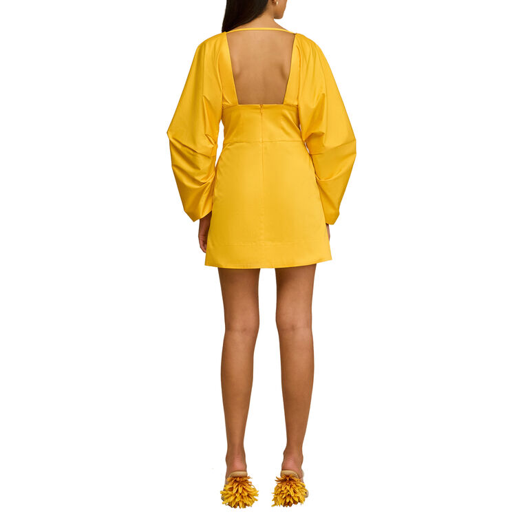 Questra Dress image number null