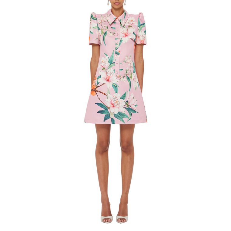 Brooke Short Sleeve Collared Mini Dress image number null