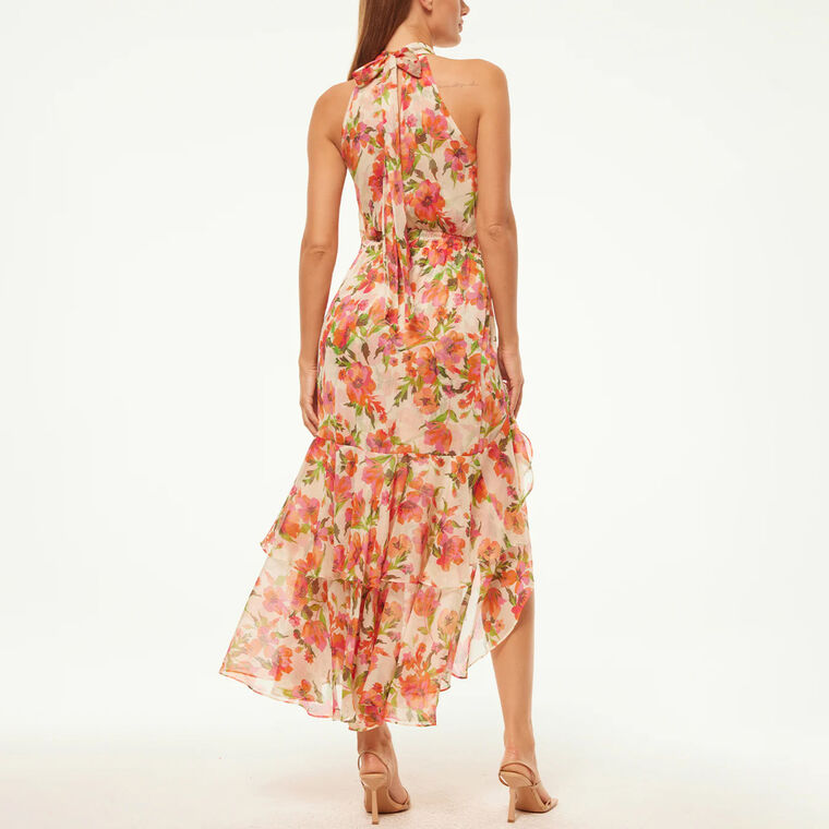 Aneva Dress image number null