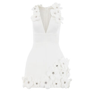 Estelle Sleeveless Floral Applique Mini Dress