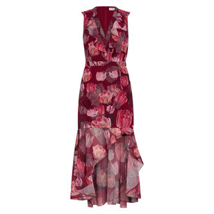 Nanci Sleeveless V-Neck Printed Midi Dress