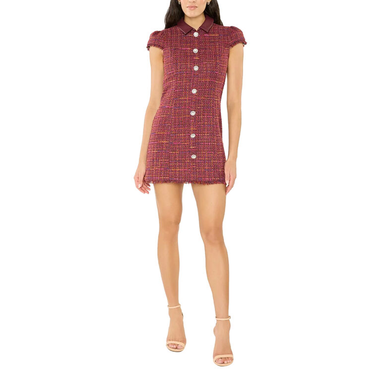 Riello Short Sleeve Collared Mini Dress image number null