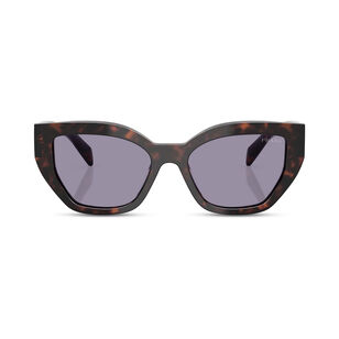 Cat-Eye Acetate Sunglasses