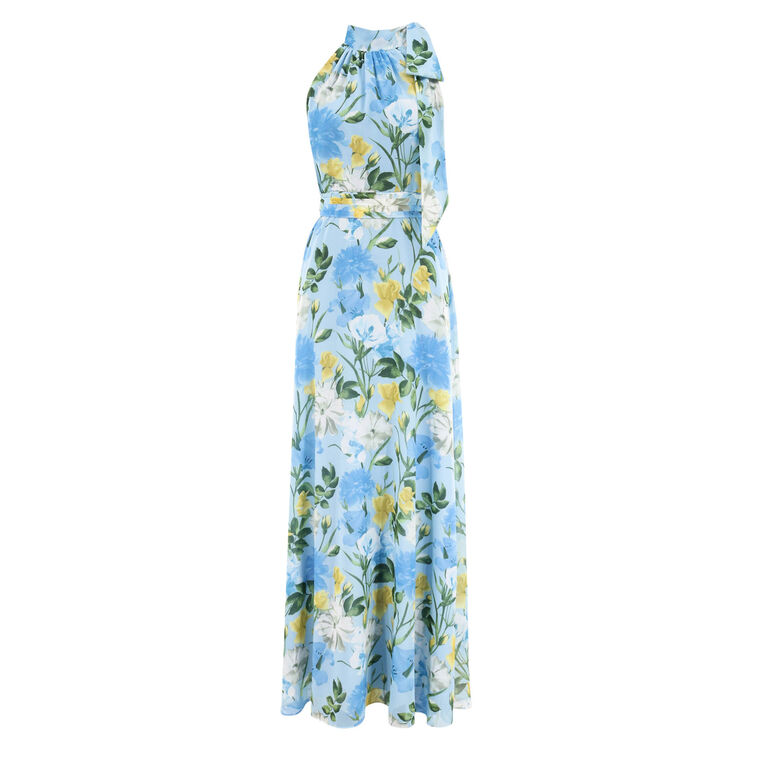 Diana Sleeveless Tie-Neck Maxi Dress image number null