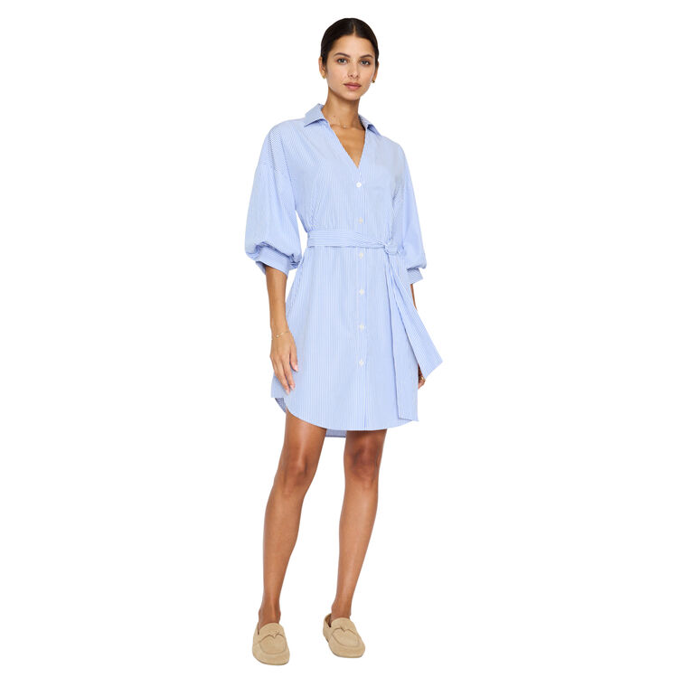 The Kate Belted Striped Dress image number null