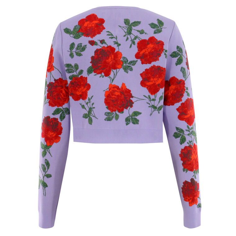 Long Sleeve Crewneck Cropped Cardigan image number null