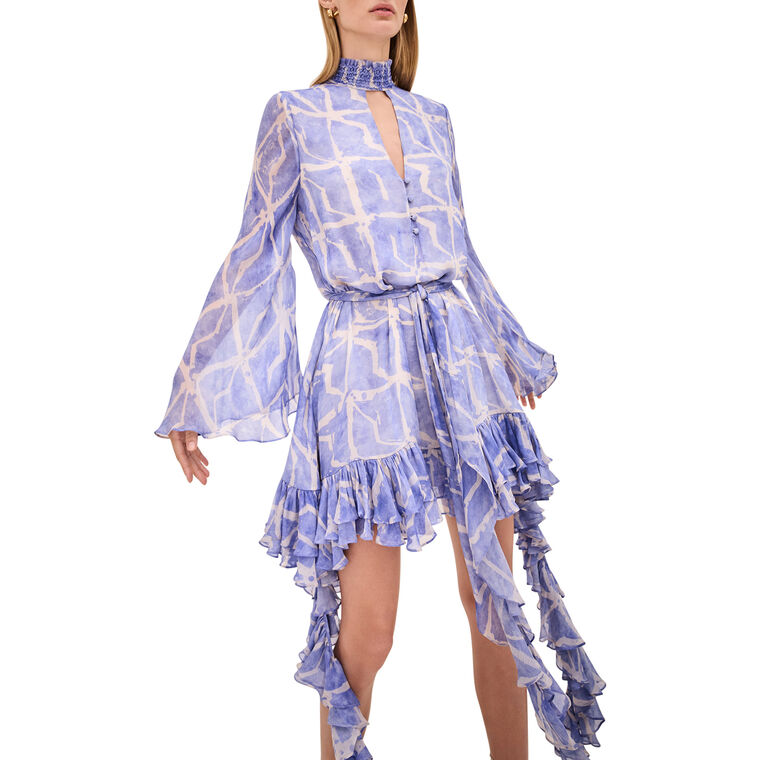 Amalia Long Sleeve Ruffle Mini Dress image number null