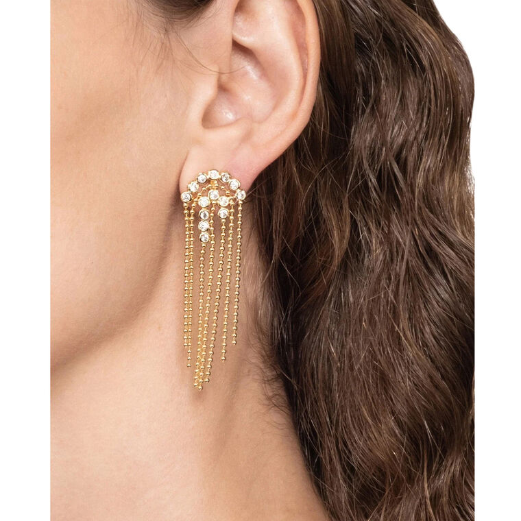 Asterales Fringe Earrings image number null
