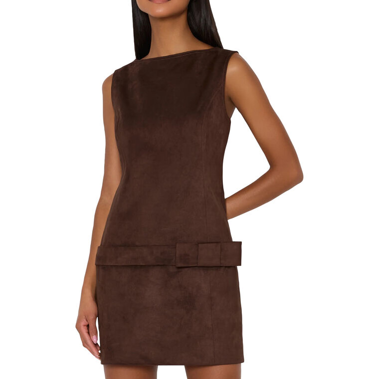 Fern Faux Suede Mini Dress image number null