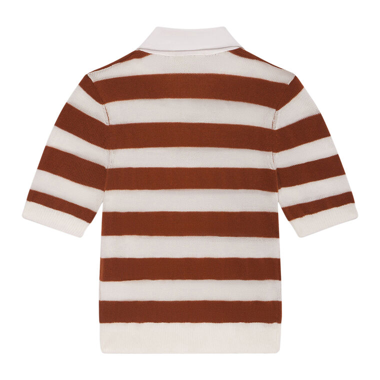 The Bold Stripe Polo image number null
