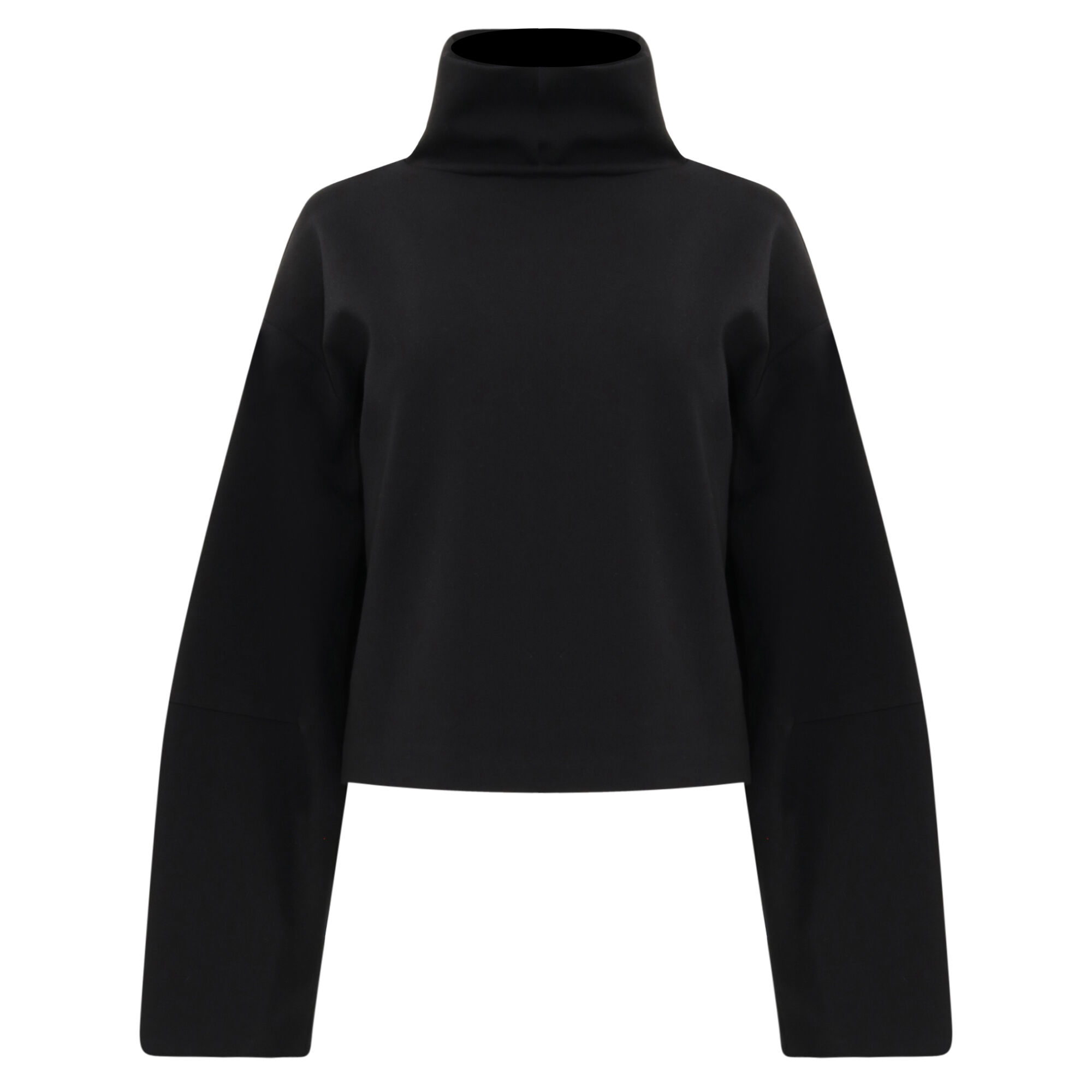 Binoche Long Sleeve Turtleneck Top