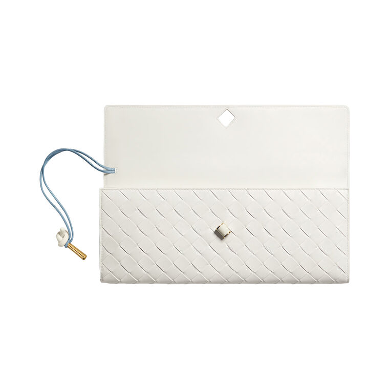Andiamo Clutch image number null