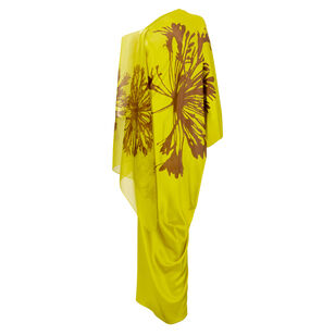 Jade Long Sleeve Maxi Dress With Sheer Overlay