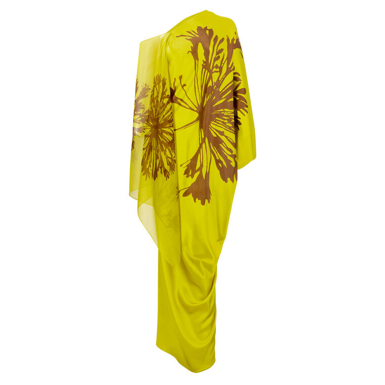 Jade Long Sleeve Maxi Dress With Sheer Overlay image number null