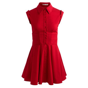 Kim Cap Sleeve Paneled Corset Flared Mini Dress
