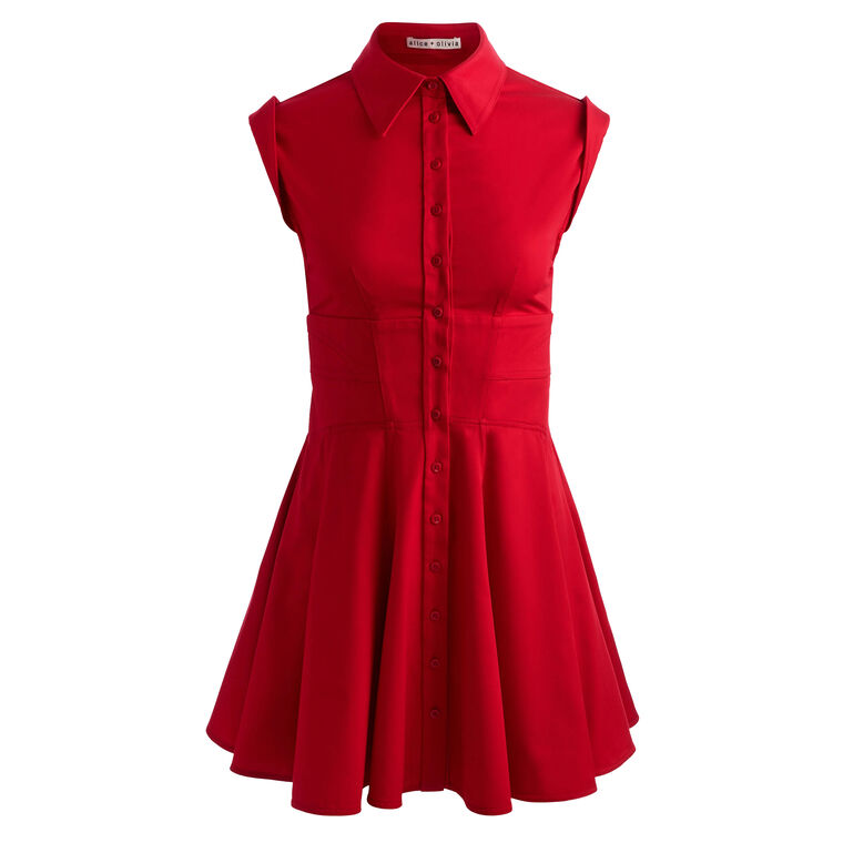 Kim Cap Sleeve Paneled Corset Flared Mini Dress image number null