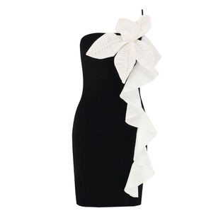 Taffeta Tarsila Mini Dress