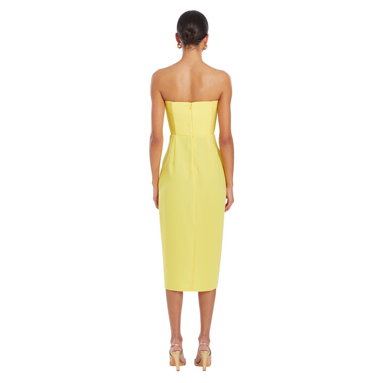 Chamberlain Strapless Midi Dress image number null