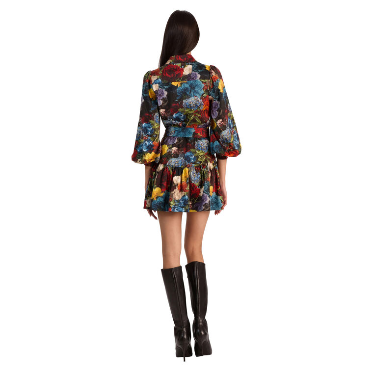 Lily Drop Waist Mini Shirt Dress image number null