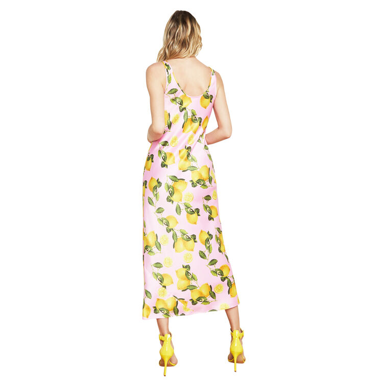Akiya Tank Dress image number null