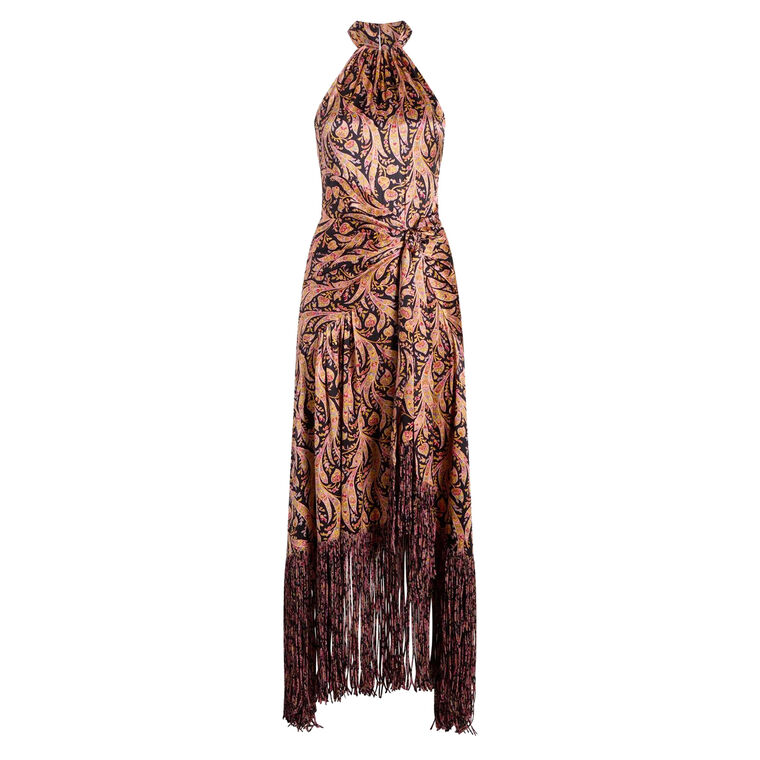 Charming Paisley Teresa Halterneck Maxi Dress image number null