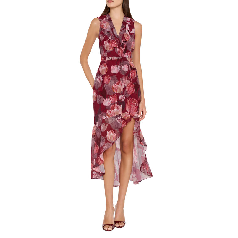 Nanci Sleeveless V-Neck Printed Midi Dress image number null