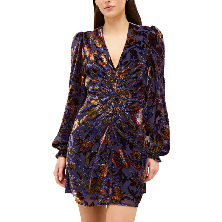 Eliza Long Sleeve Burnout Velvet Mini Dress image number null