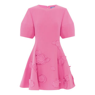 Simona Applique Short Sleeve Mini Dress