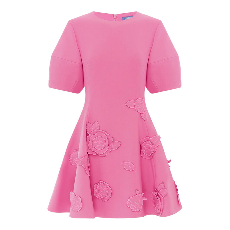 Simona Applique Short Sleeve Mini Dress image number null