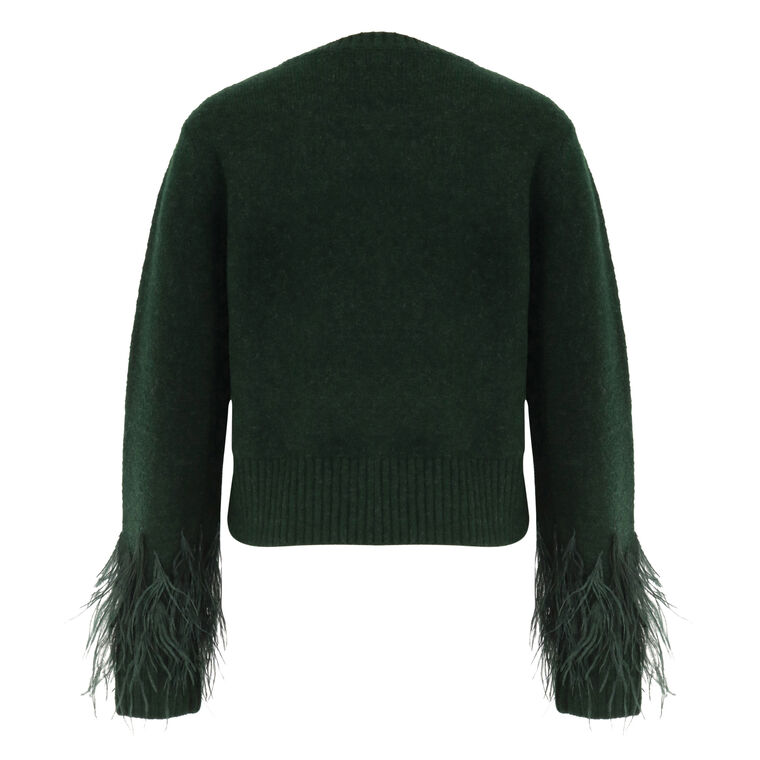 Briana Feather Pullover image number null