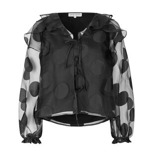 Multi Ruffle Long Sleeve Organza Raglan Top