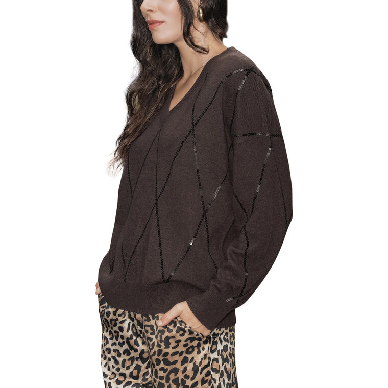 Gallis V-Neck Cashmere Pullover Sweater With Sequins image number null