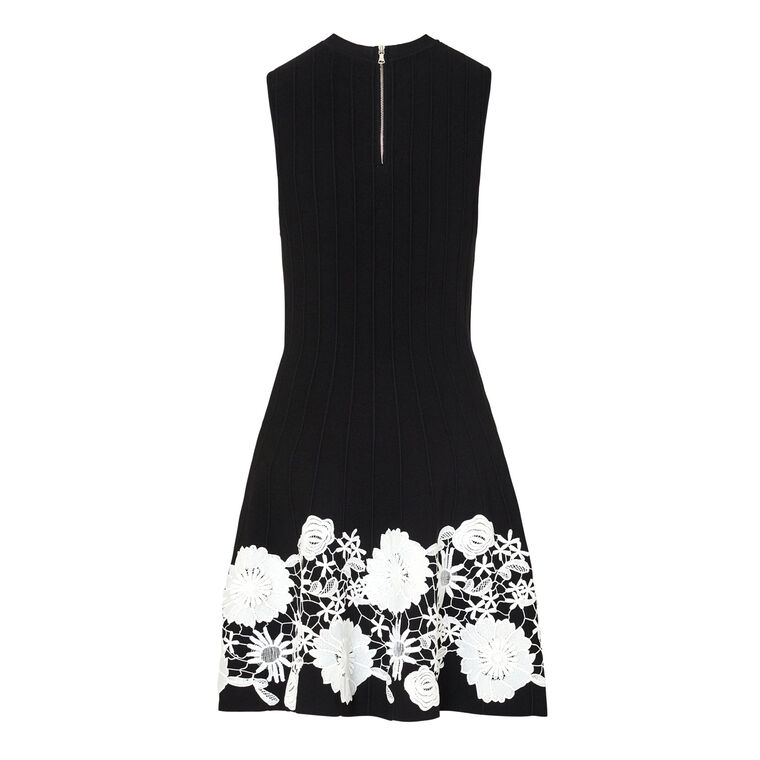 Sleeveless Lace Trim Fit And Flare Dress image number null