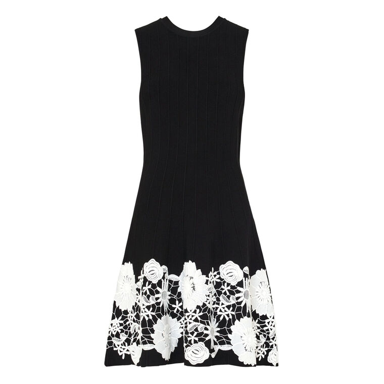 Sleeveless Lace Trim Fit And Flare Dress image number null