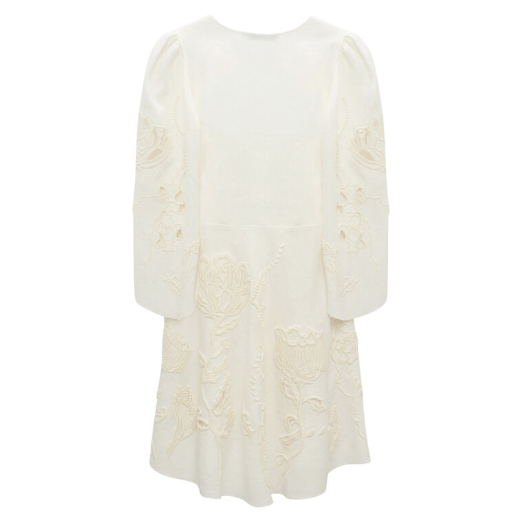 Embroidered Beauty Mini Dress image number null