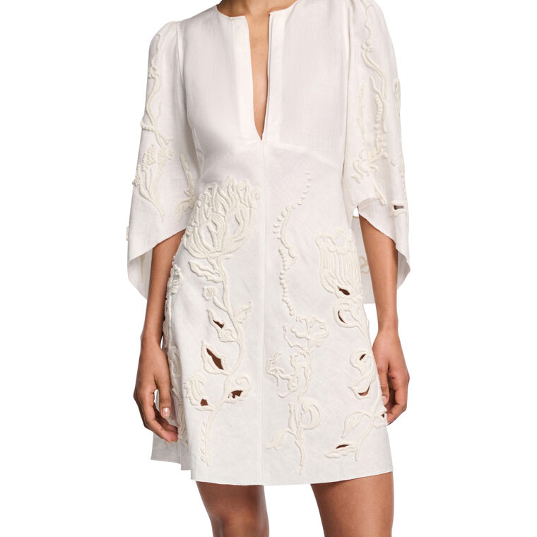 Embroidered Beauty Mini Dress image number null